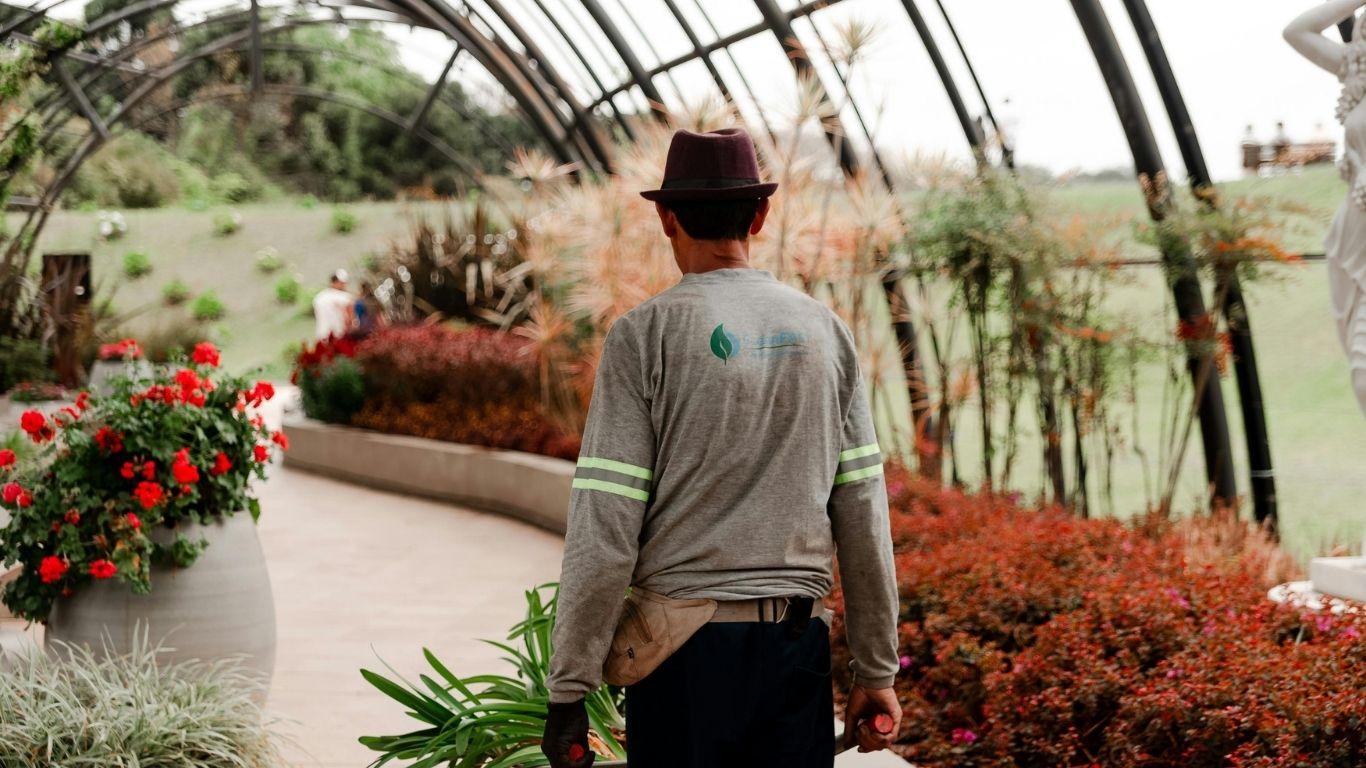 Limpieza de Zonas Comunes y Accesos