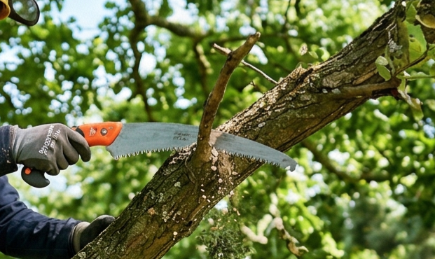 Proyectos en Urbanizaciones y Fincas